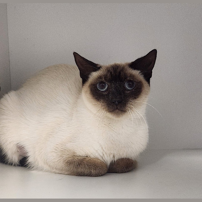 Photo of Mabel