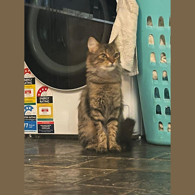 Photo of Ellie & Munchie