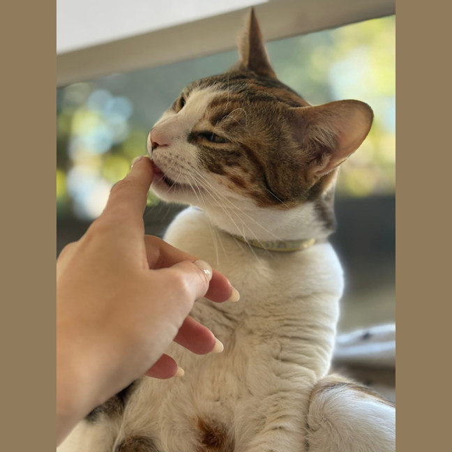 Photo of Charlie
