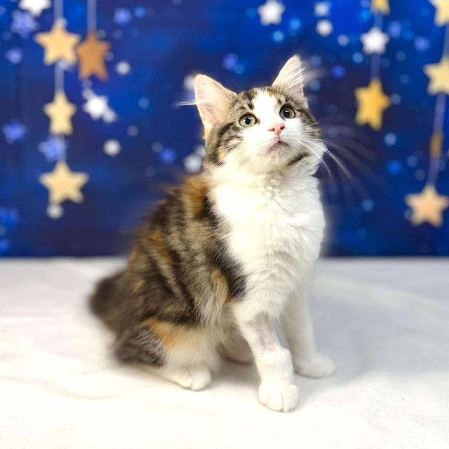 Photo of Florence   Located In Preston