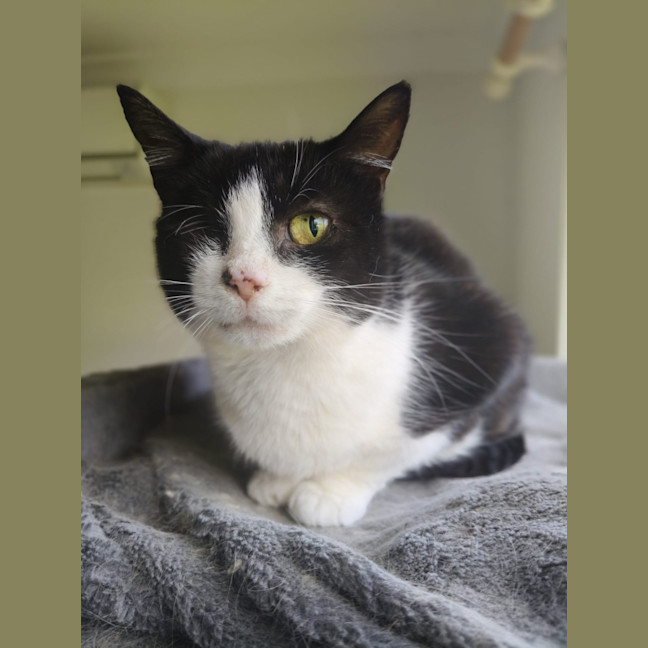 Photo of Lucky