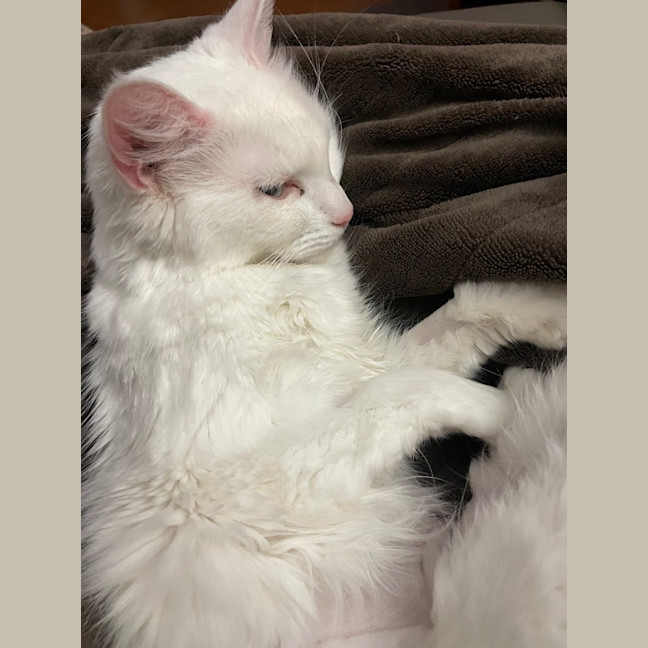 Photo of Elsa