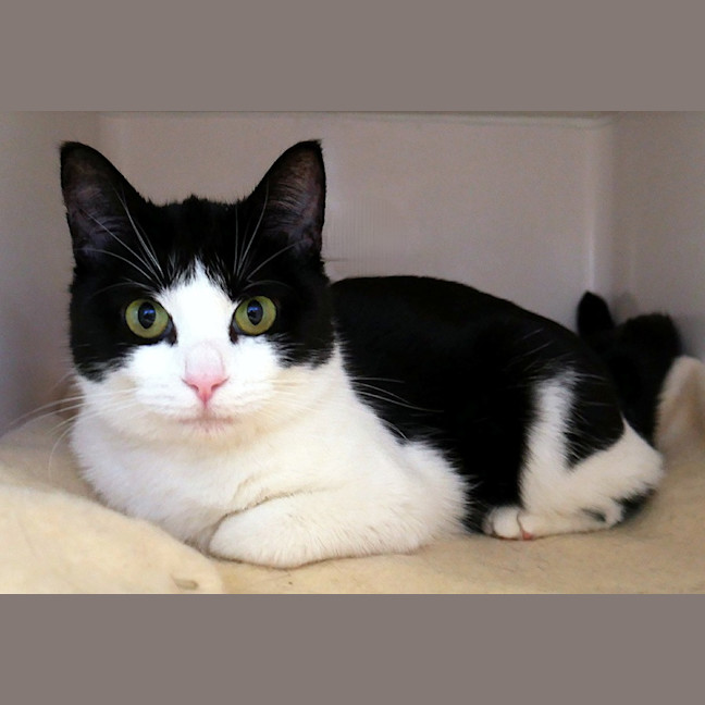 Photo of Shelly Sua013455