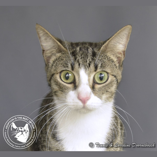 Photo of Dolly Parton