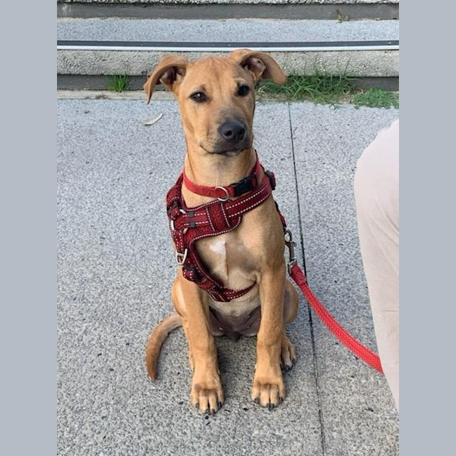 Photo of Penny