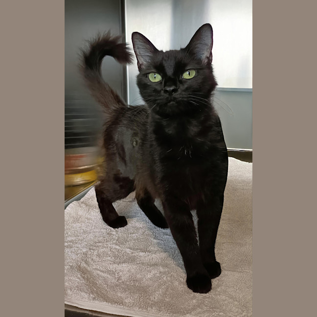 Photo of Missy
