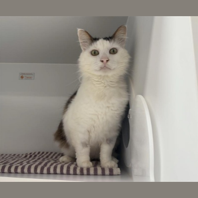 Photo of Monty