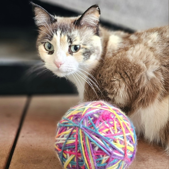 Photo of Miss Marbles