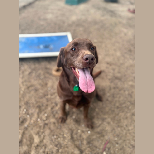 Photo of Dora