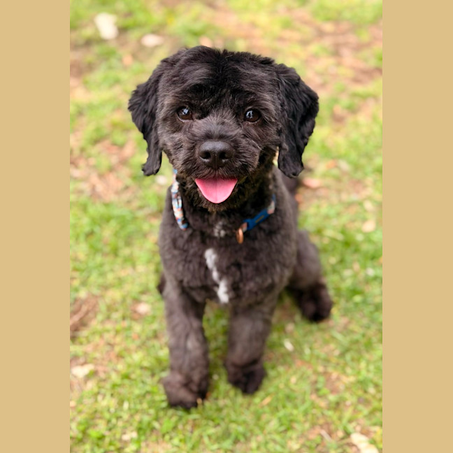 Photo of Bernard