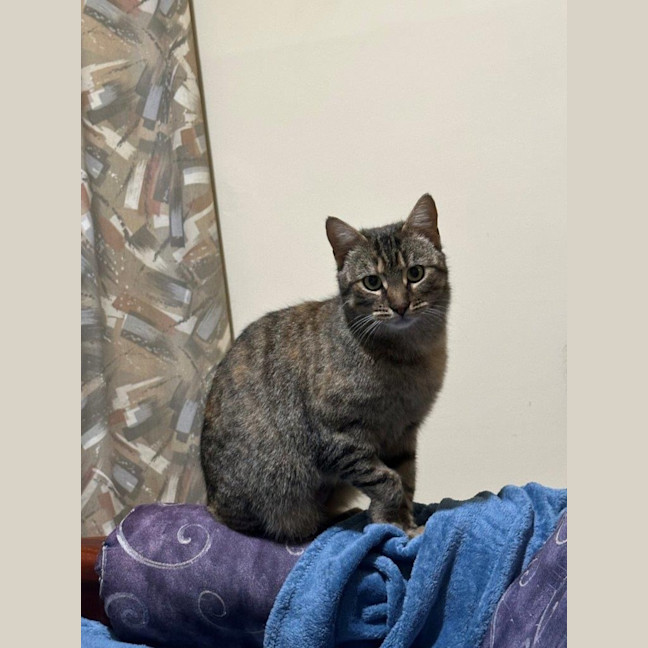 Photo of Aster Uffelman