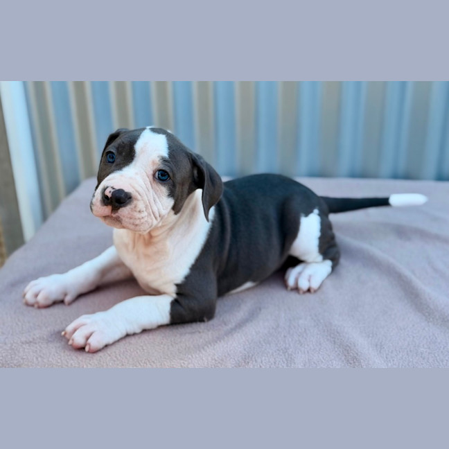 Photo of Aang