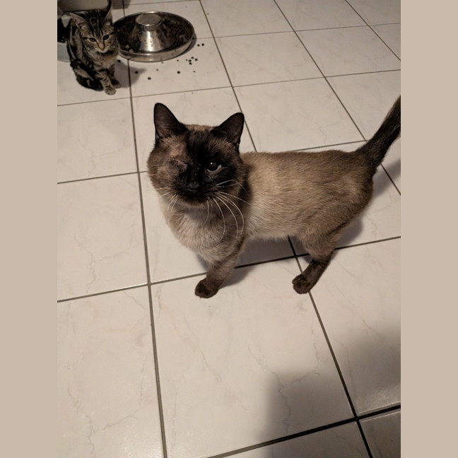 Photo of Ivan