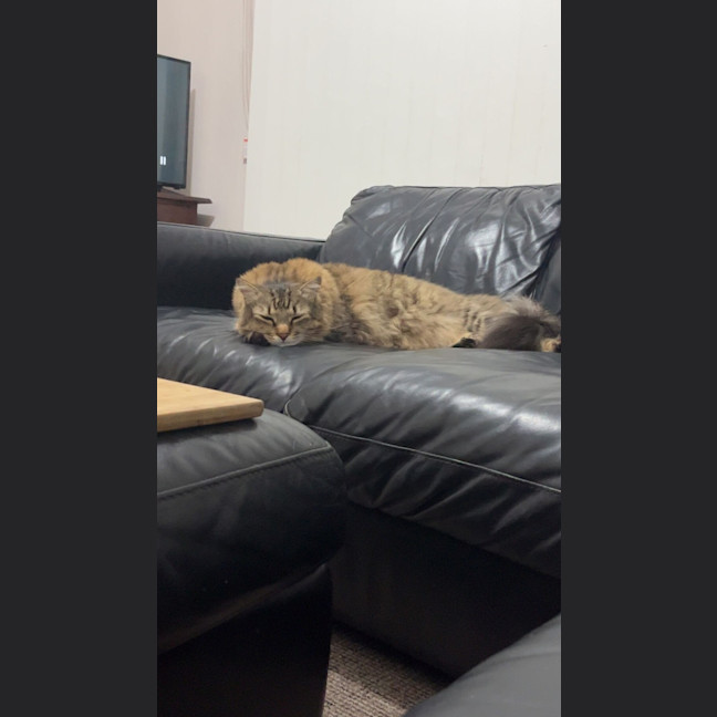 Photo of Leo