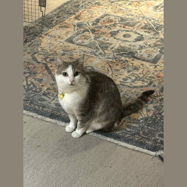 Photo of Penelope