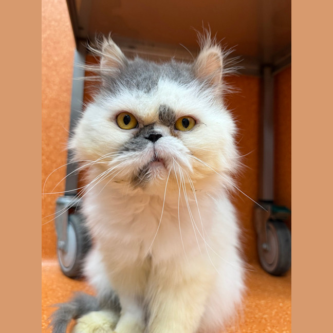 Photo of Ted