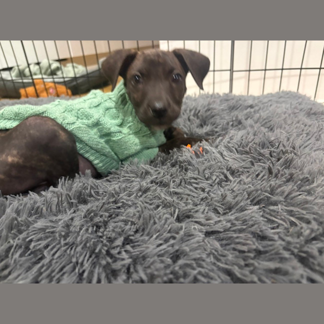 Photo of Freya