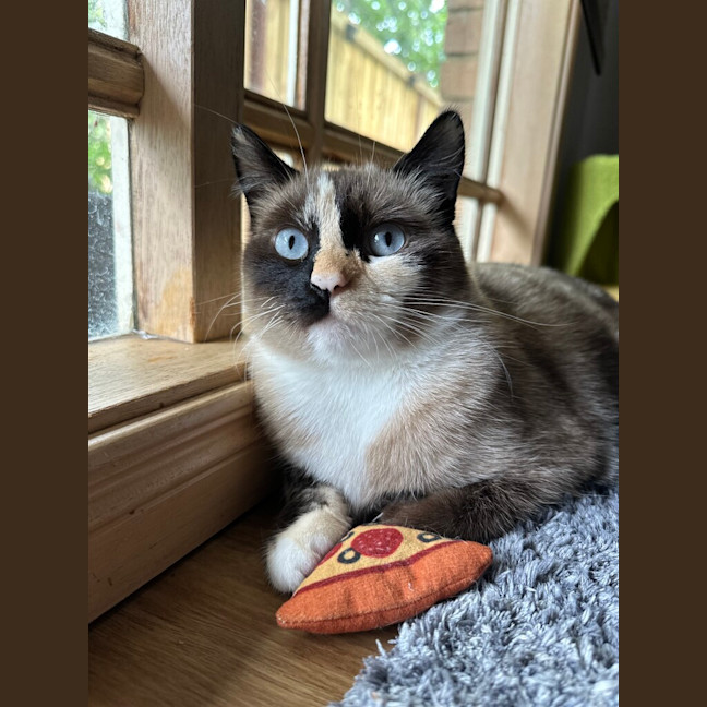 Photo of Suki
