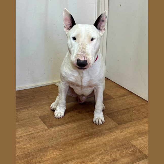Photo of Zeus