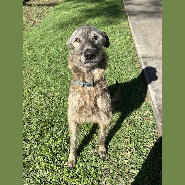 Photo of Coco & Rome 