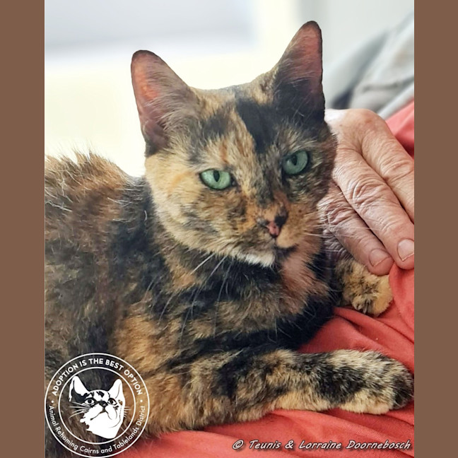 Photo of Eagless And Weston