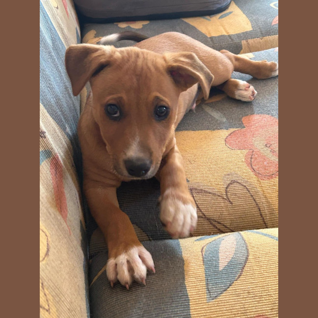 Photo of Grady