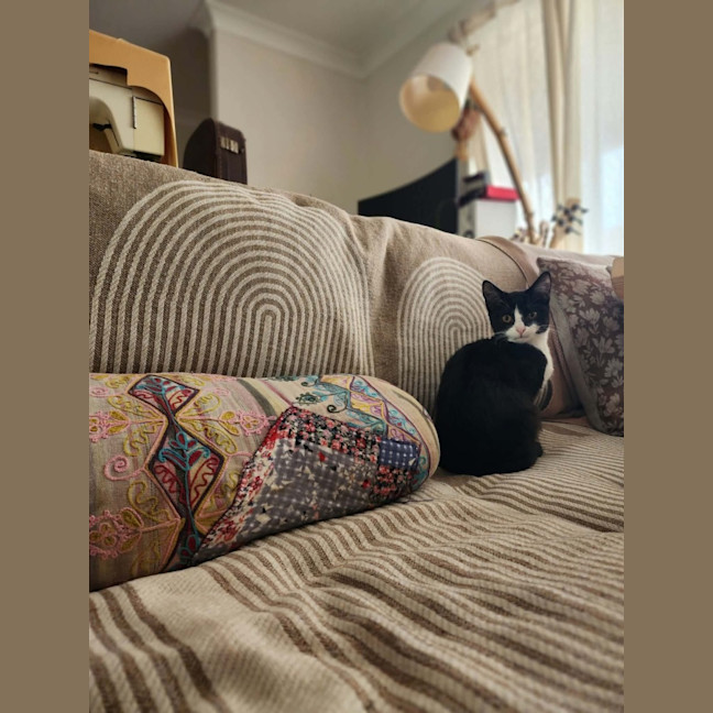 Photo of Daisy