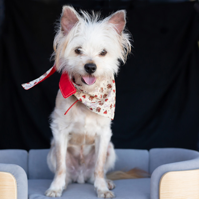 Photo of Jack Sprout