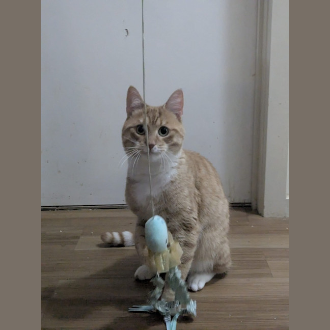 Photo of Simon