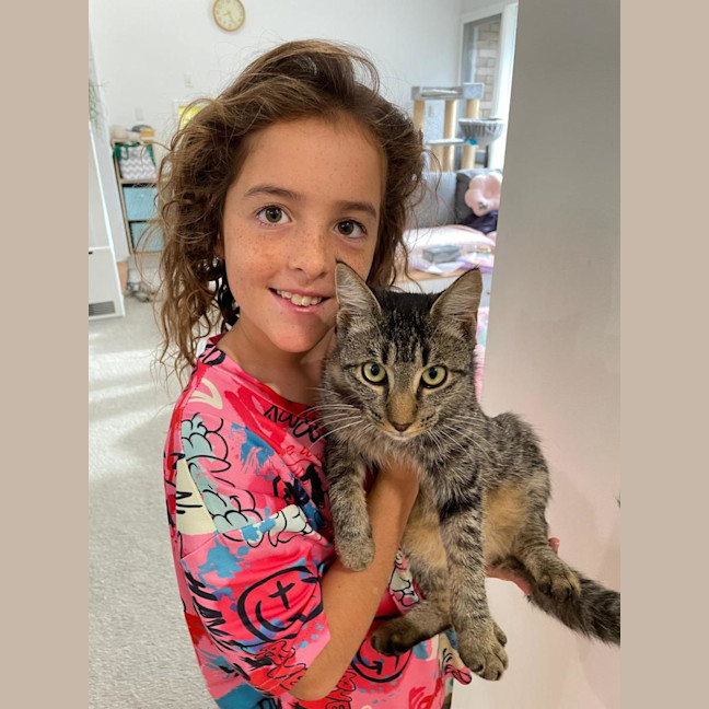 Photo of Buddy (Stripes) 