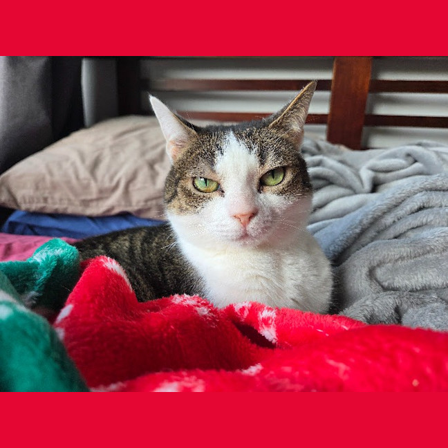 Photo of Molly / Milly