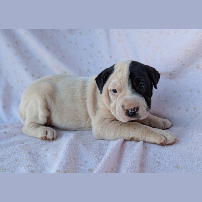 Photo of Blinky