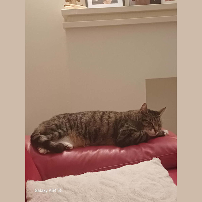 Photo of Henry