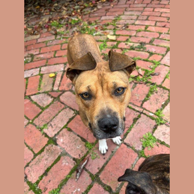 Photo of Chloe Haliwell