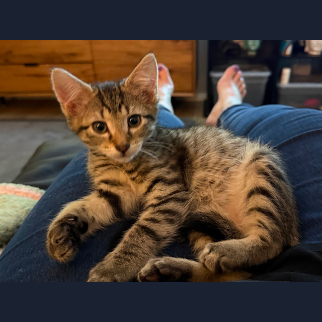 Photo of Rosie
