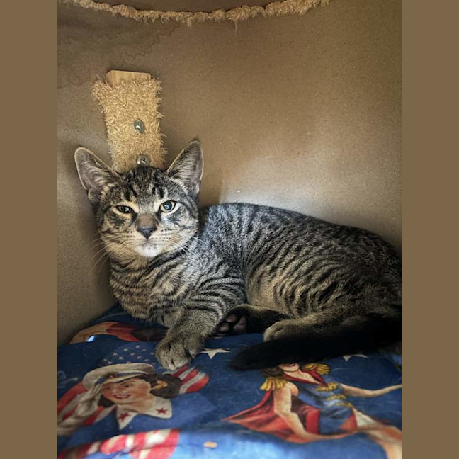 Photo of Clarence
