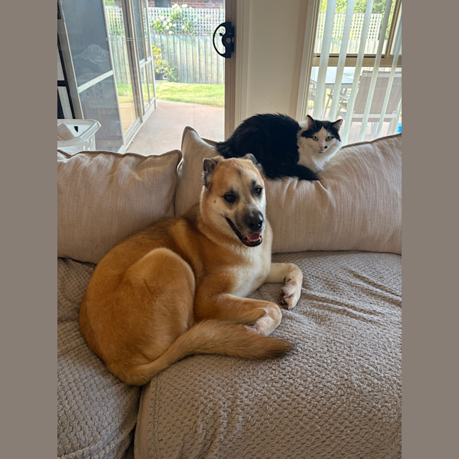 Photo of Alexa & Cindy