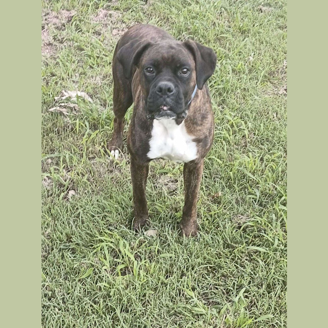 Photo of Elsa