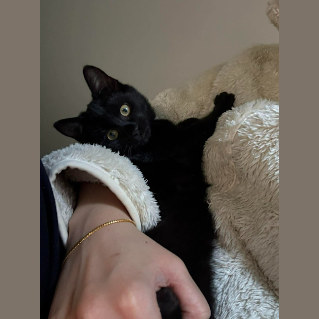 Photo of Poppy