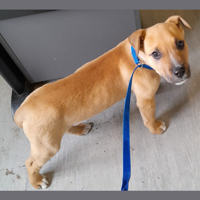 Photo of Zeke