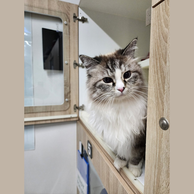 Photo of 🥂 Kiki 6409 🥂