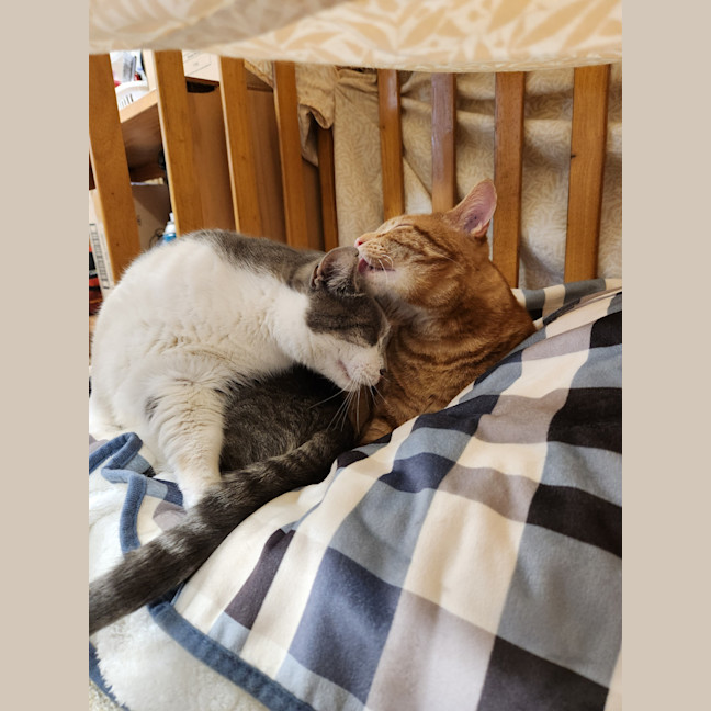 Photo of Gary & Chip   Your Best Friends 