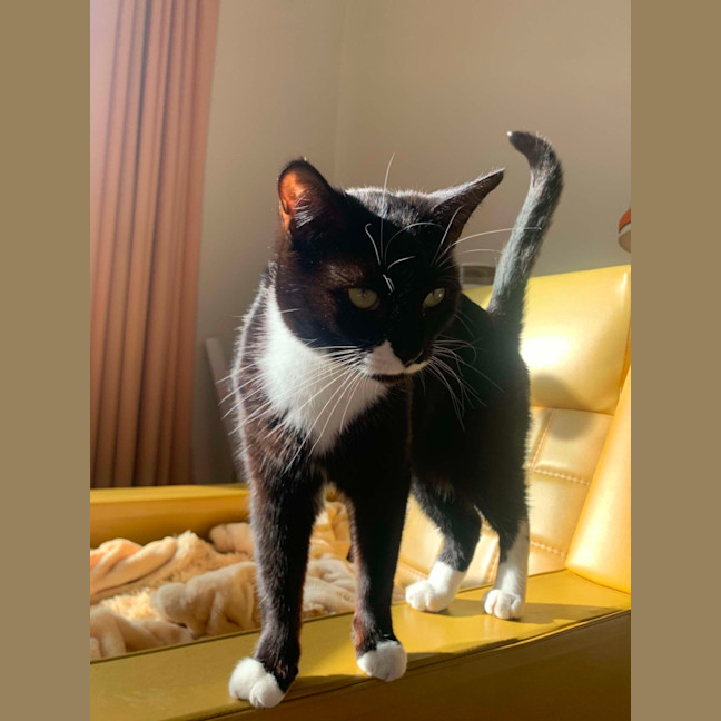 Photo of Blaire & Atlas 