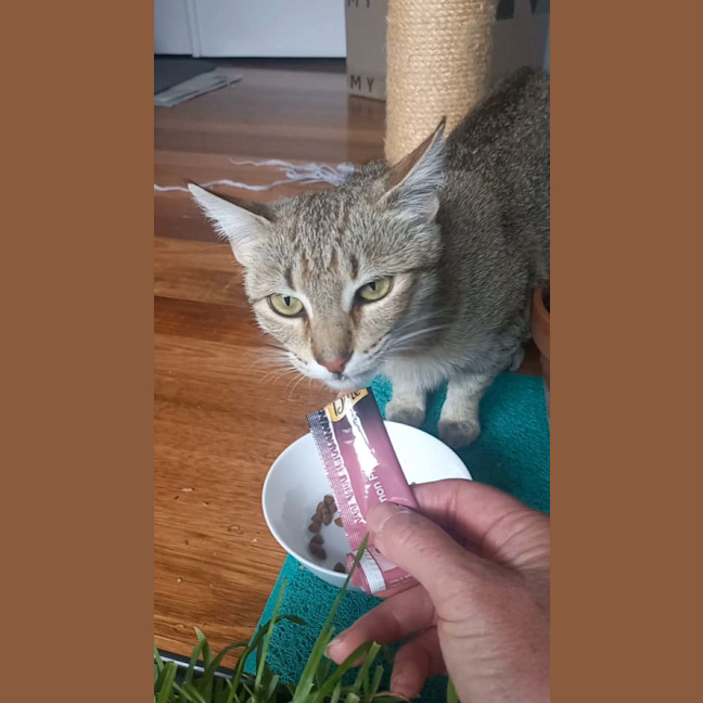 Photo of Esmerelda (Essie) 