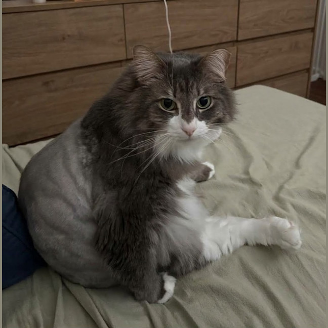 Photo of Sawyer