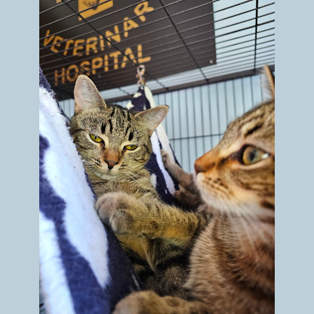 Photo of Thelma & Louise