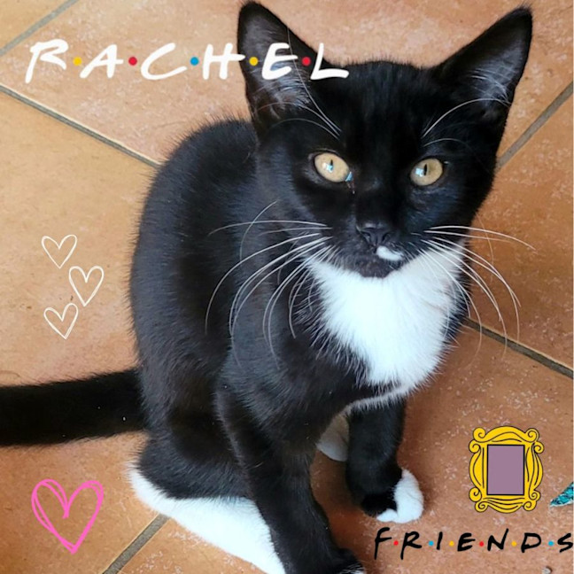 Photo of 💕 Rachel Green 💕