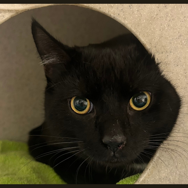 Photo of Mr. Squiggle