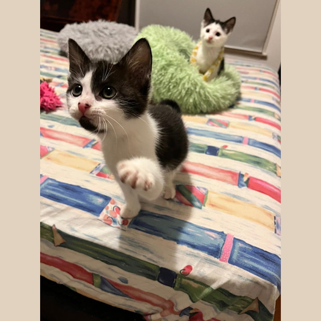 Photo of Adelina & Flora