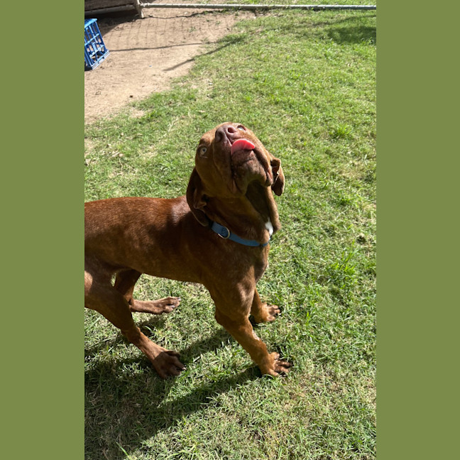 Photo of Bonnie